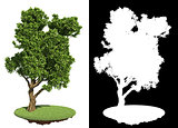 Decorative Green Tree with Detail Raster Mask.