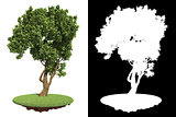 Garden Green Tree with Detail Raster Mask.