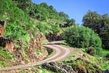 Winding Road in the Mountain