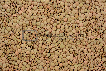 Green lentils background