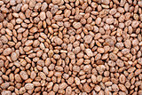Pinto beans background
