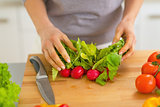 Closeup on young woman cutting radishes