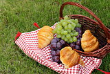 picnic on green grass with grapes and croissants