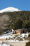 Historic Cabin Winter Day Great Basin National Park Southwest US