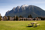 Greenbelt Picnic Table Subdivision Homes Mount Si North Bend