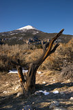 High Mountain Peak Great Basin Region Nevada Landscape