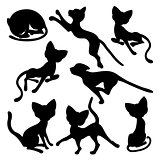 Eight silhouettes of funny cats