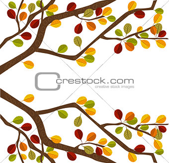 Branch of autumn tree
