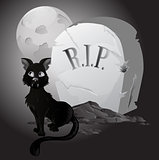 Black an white Halloween Cat on Tombstone
