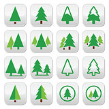 Pine tree, park vector green icons set