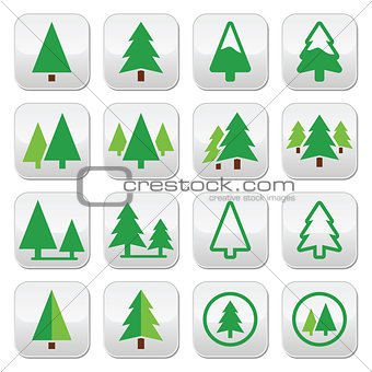Pine tree, park vector green icons set