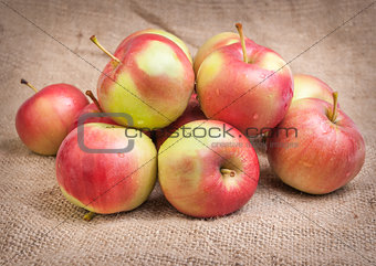 Still life with apples on burlap background