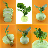 Healthy and organic food concept