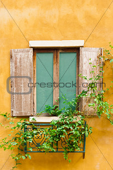 Vintage wood window