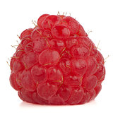 Red raspberry