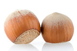 Two hazelnuts