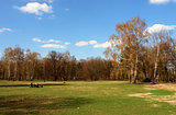 Tiergarten center city park