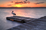 Sunset at Long Jetty, NSW Australia
