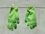 Green gloves hanging on a wire in the sunlight