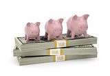 Piggy bank stand on pack of dollars