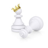 White defeated chess king is near pawns