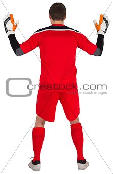 Rear view of goal keeper