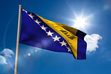 Bosnian national flag on flagpole