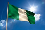 Nigeria national flag on flagpole