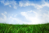 Field of grass under blue sky