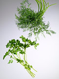 dill and parsley