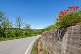 Road, green hills and red poppies.
