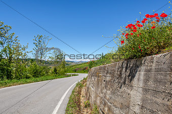 Road, green hills and red poppies.