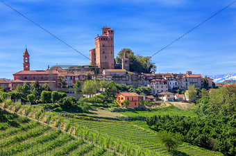 Small town and green vineyards in Piedmont, Italy.