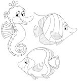 Coral fishes and seahorse