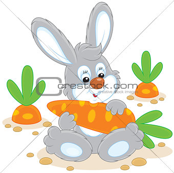 Bunny with a carrot