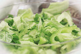 Vegetable green salad