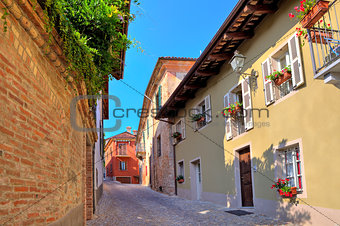 Narrow cobbled street in town of Guarene, Italy.