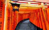 Fushimi Inari Taisha Shrine