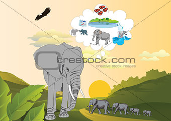 Memory of an elephant
