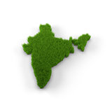 India map made of grass