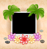 Photo frame with palm, flowers, sea pebbles