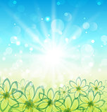 Spring nature background with flowers