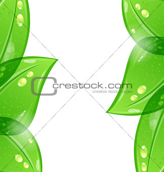 Abstract eco green background