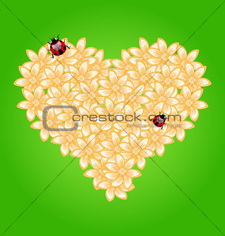 Romantic heart flowers and ladybug