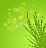 Spring background background with green grass