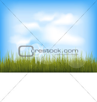 Summer background with green grass, blue sky, clouds
