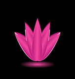 Lotus flower isolated on black background
