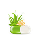 Natural medical pill with flower, leaves, grass, isolated on whi