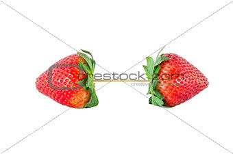 Organic Strawberry fruits dumbbell