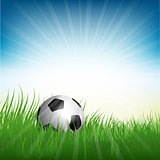 Football or soccer ball nestled in grass